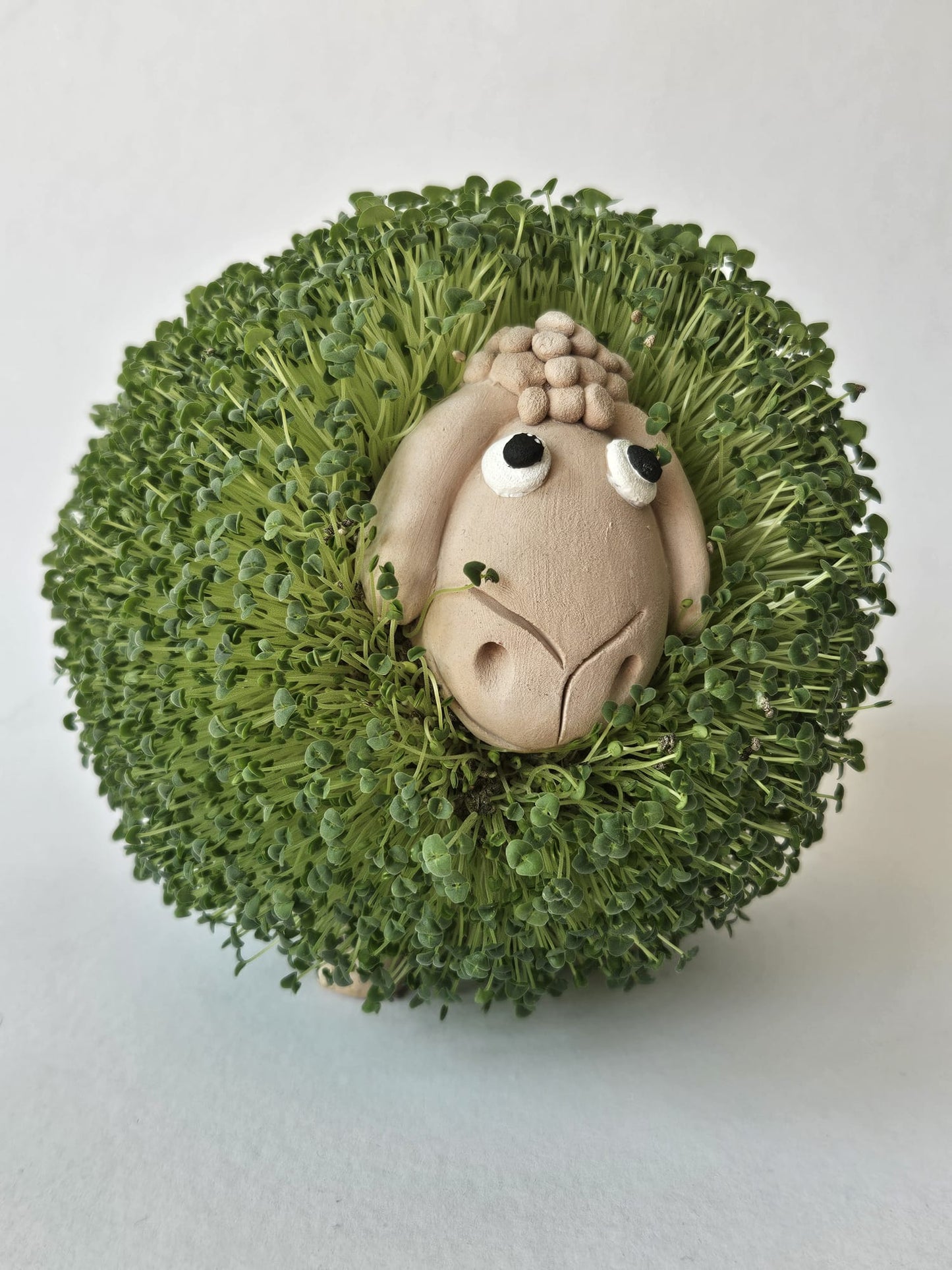 Chi-ko Sheep – Handmade Lamb-Shaped Ceramic Figurine with Edible Chia Sprouts