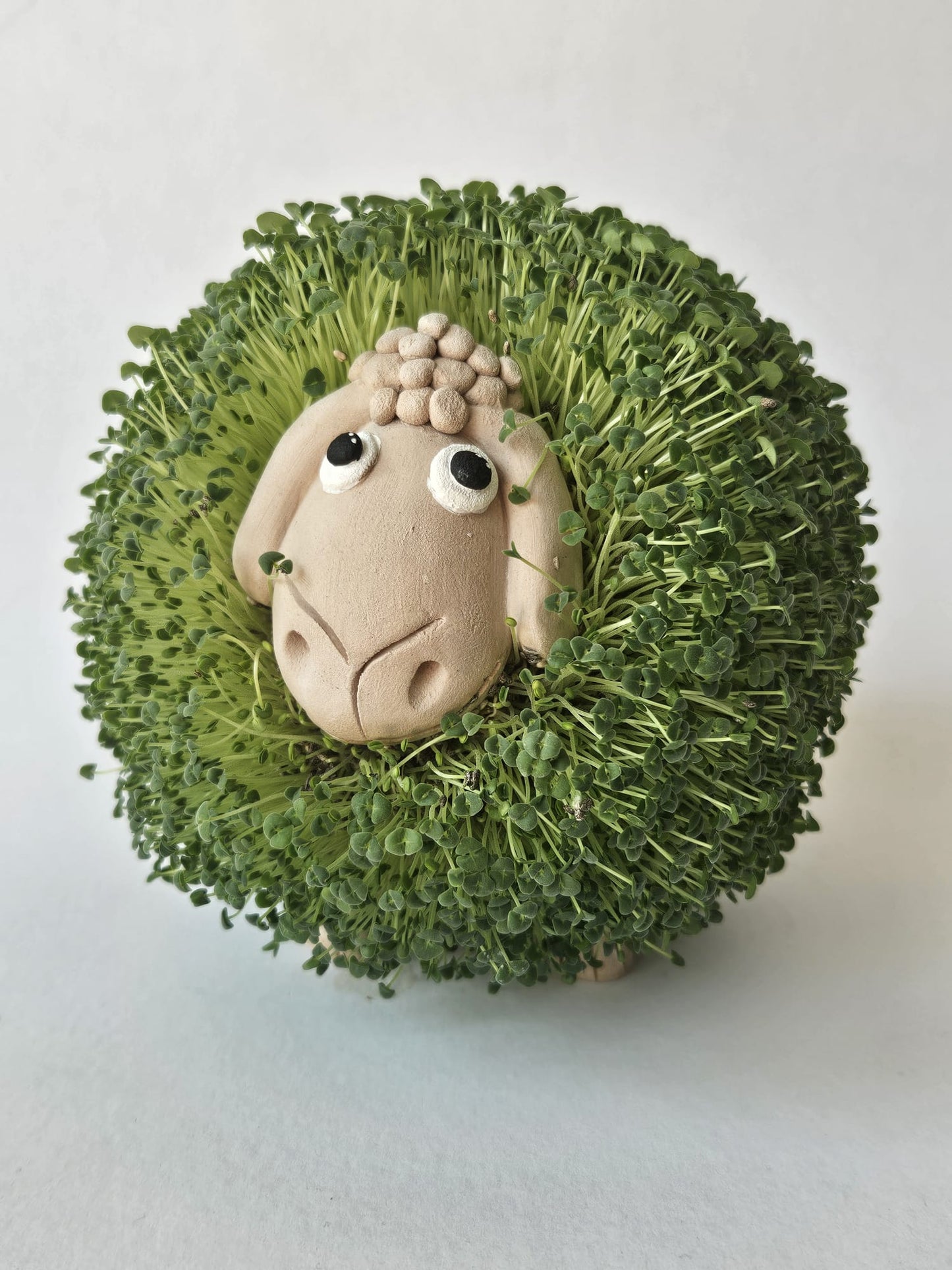 Chi-ko Sheep – Handmade Lamb-Shaped Ceramic Figurine with Edible Chia Sprouts